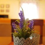Casa Cecilia Apartment