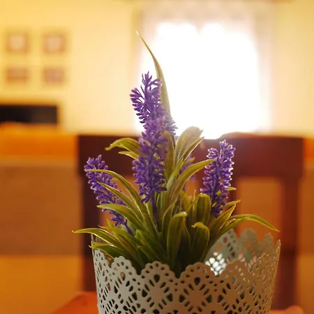 Casa Cecilia Apartment