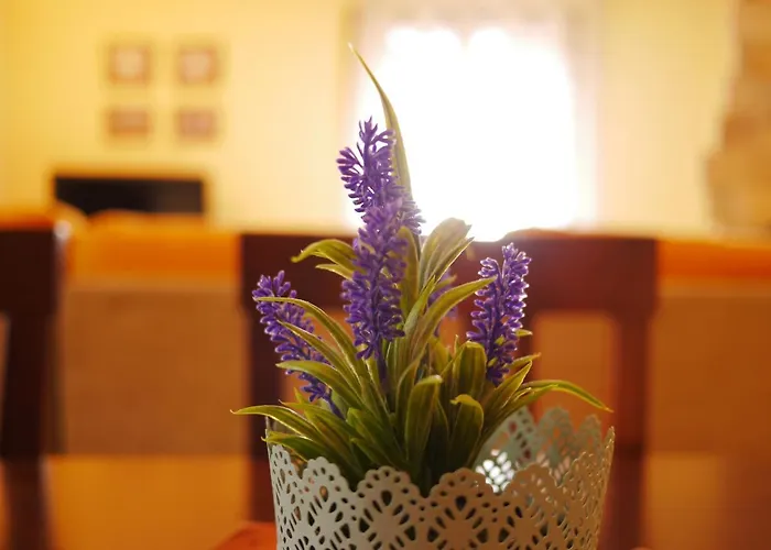 Casa Cecilia Apartment